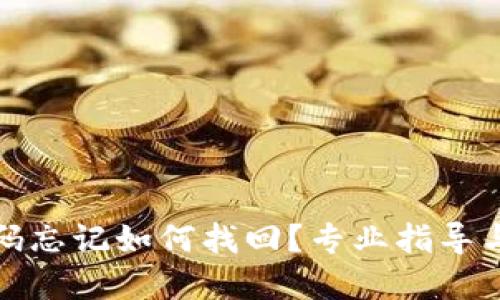 TP钱包密码忘记如何找回？专业指导与解决方案