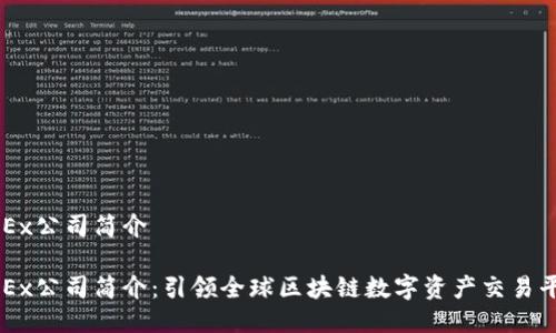 OKEx公司简介

OKEx公司简介：引领全球区块链数字资产交易平台