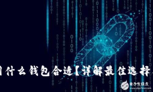 买虚拟币用什么钱包合适？详解最佳选择与使用技巧