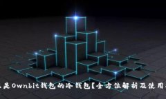 什么是Ownbit钱包的冷钱包？全方位解析及使用指