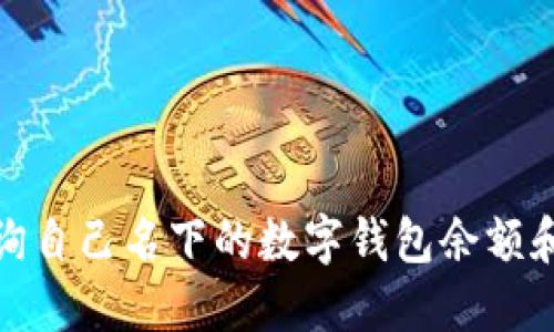 : 如何查询自己名下的数字钱包余额和交易记录