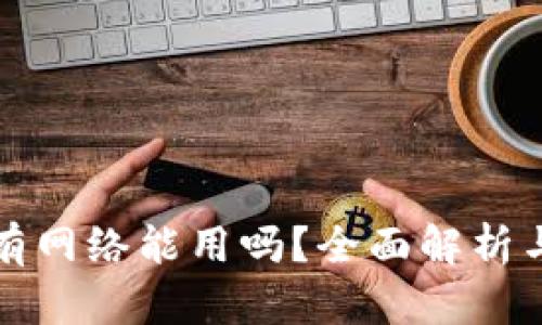 TP钱包没有网络能用吗？全面解析与解决方案