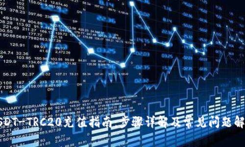 USDT-TRC20充值指南：步骤详解及常见问题解答