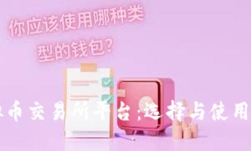 虚拟币交易所平台：选择与使用指南
