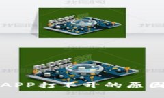 TP钱包里的APP打不开的原因及解决方法