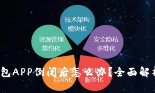  数字货币钱包APP倒闭后怎么办？全面解析及应对策略