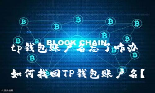 tp钱包账户名忘了咋办

如何找回TP钱包账户名？