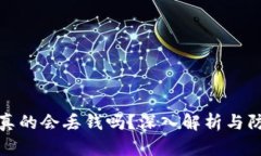 TP钱包真的会丢钱吗？深入解析与防范技巧