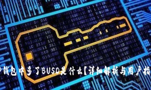 TP钱包中多了BUSD是什么？详细解析与用户指南