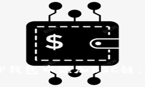 如何在TP钱包中添加BSC链：详细指南