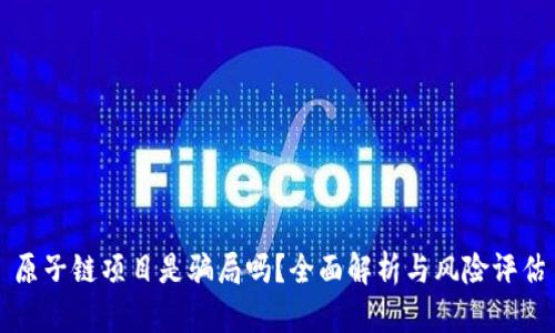 原子链项目是骗局吗？全面解析与风险评估
