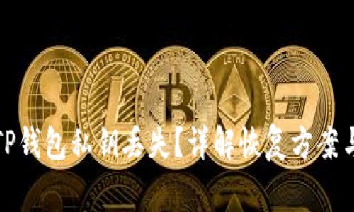 如何应对TP钱包私钥丢失？详解恢复方案与注意事项