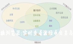 波场币区块浏览器：实时查看波场币交易与区块