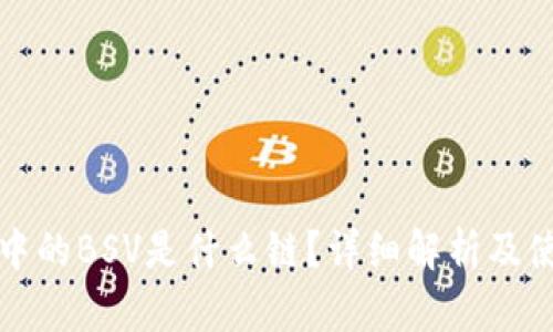 TP钱包中的BSV是什么链？详细解析及使用指南