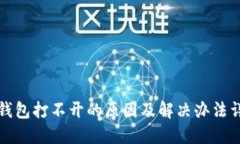 TP钱包打不开的原因及解决办法详解