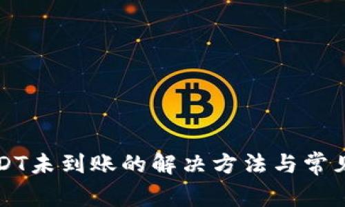TP钱包USDT未到账的解决方法与常见问题解析