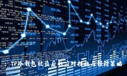 : TP冷钱包被盗后的应对措施与预防策略