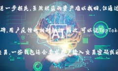   如何下载和使用TopToken钱包：全面指南 / 关键词
