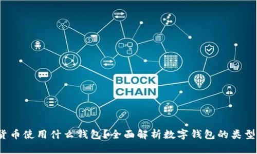  数字货币使用什么钱包？全面解析数字钱包的类型与选择