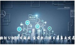 : 区块链公链项目解析：当前热门项目与未来发展