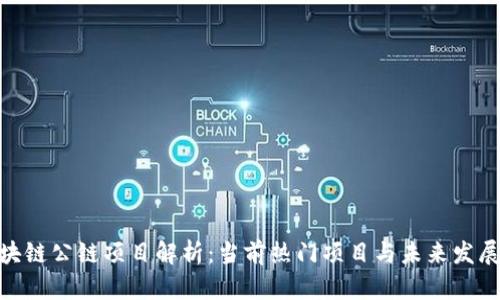 : 区块链公链项目解析:当前热门项目与未来发展趋势